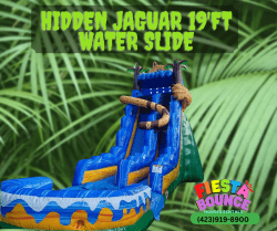 Hidden Jaguar 19 foot water slide