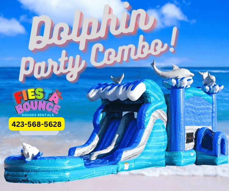 Dolphin Party Combo slide