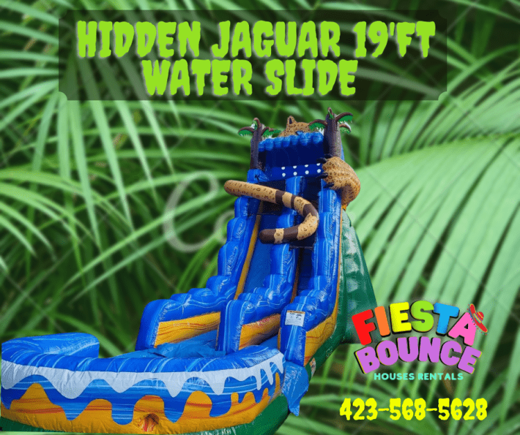 Hidden Jaguar 19 foot water slide