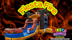 Fiesta Fire Combo Wet/Dry